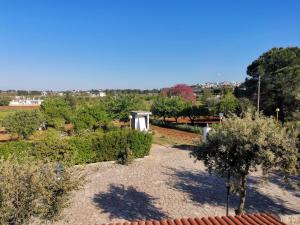 a view of a garden with bushes and trees at La magia del trullo in Martina Franca