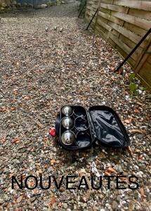 a guitar case on the ground with the words novoumes at Petite maison au calme avec jardin clôturé les animaux bienvenue in Mollau