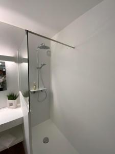 baño con ducha y puerta de cristal en Le Renaissance, en Mont-de-Marsan
