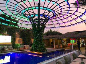 uma piscina à noite com uma palmeira no meio em The Blowfish Hotel em Lagos