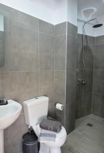 La salle de bains est pourvue d'une douche, de toilettes et d'un lavabo. dans l'établissement Plazza, à Matala