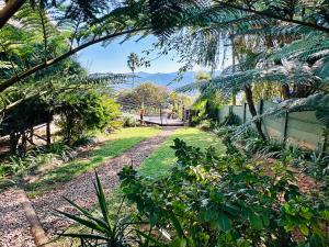 a garden with a pathway leading to a house at 49 on Main: A Spacious Self Catering Guesthouse in Sabie