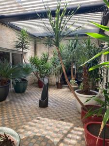 a courtyard filled with potted plants in a building at DIVO in Trans-en-Provence