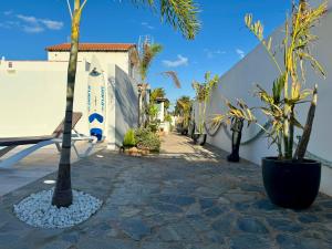 un patio con palmeras y un edificio en Villa Residencial El Guaidil en Triquivijate