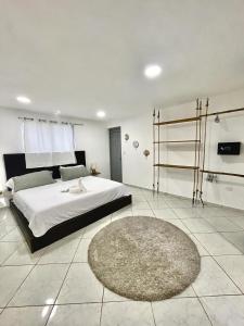 een slaapkamer met een groot bed en een tapijt bij HUMMINGBIRD CABARETE in Cabarete