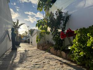 A garden outside Villa Residencial El Guaidil