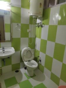 a green and white bathroom with a toilet and sink at Hotel King Palace - Nature-Valley-Luxury-Room - Prime Location with Parking Facilities in Shimla