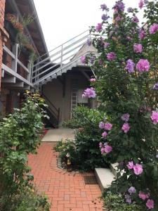a garden with pink flowers on a building at Ferienwohnung Mathilda in Waren