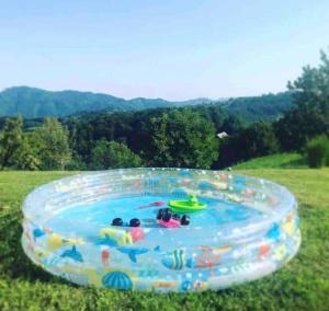 una gran piscina inflable en medio de un campo en Martin's Family Cottage en Šmarje pri Jelšah