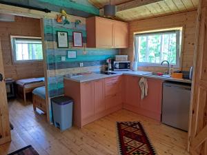 kuchnia w drewnianej kabinie z umywalką w obiekcie DOMKI , Pokoje gościnne Ustronie w Zwierzyńcu