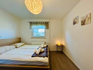 sypialnia z łóżkiem i oknem w obiekcie Apartma Jana w mieście Žirovnica