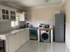 a kitchen with a washer and a dishwasher in it at Green Flash Apartments in Lance aux Épines