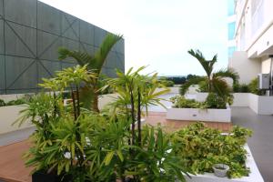 un patio con plantas en un edificio en Triann Condo Staycation Davao in Inspiria Condominium Building, en Davao City