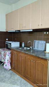 a kitchen with a sink and a microwave at XAROULA APARTMENTS in Ierissos