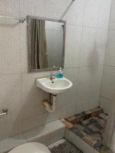 a bathroom with a sink and a toilet and a mirror at Green Flash Apartments in Lance aux Épines