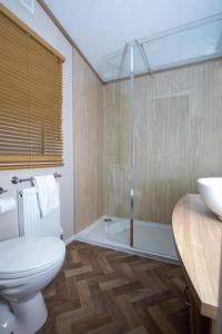 a bathroom with a toilet and a shower and a sink at Stewarts Resort Lodge 16 in St Andrews