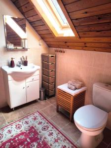 La salle de bains est pourvue de toilettes et d'un lavabo. dans l'établissement chata ,,Na Brehu'', à Klokočov