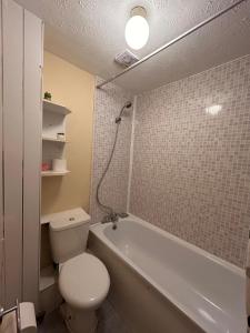 a bathroom with a white toilet and a bath tub at Stunning one bed Apartment with free Wifi and Parking in Goodmayes
