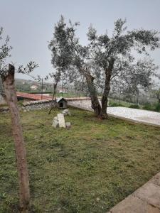 Un jardín fuera de Mavianto