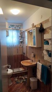a bathroom with a shower and a sink and a toilet at Apartments Anić in Novigrad Istria