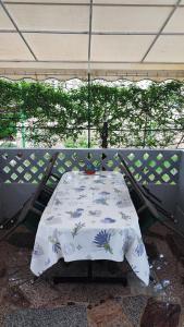 Fotografie z fotogalerie ubytování Apartments Anić v destinaci Novigrad – Istrie
