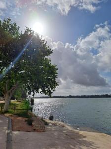 a view of a lake with a tree and the sun at Caseta del Riu in Deltebre