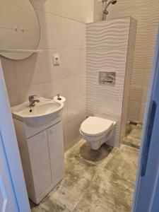 La salle de bains blanche est pourvue de toilettes et d'un lavabo. dans l'établissement Apartamenty Zakonne "Apartament Rycerza", à Malbork