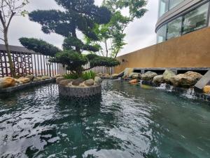 a pond with a tree in front of a building at Sam's homestay- Swan lake studio apartment in Kim Quan