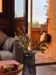 Posezení v ubytování Ecolodge Vert, Benslimane