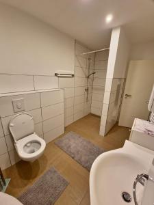 een badkamer met een toilet, een wastafel en een douche bij TBM Haus in Homburg