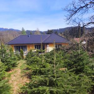 ein Haus mit vielen Weihnachtsbäumen davor in der Unterkunft Chalet Damtschach in Damtschach