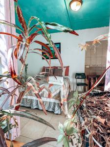 弗洛雷斯的住宿－Casa Nicté，一间卧室,配有一张床和一束植物