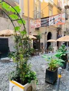 拿坡里的住宿－Barbaro Apartment Centro di Napoli，一条有植物、桌子和雨伞的街道