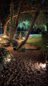 a park at night with lights on the ground at Femyli rooms in Shekvetili