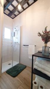 a bathroom with a shower with a glass door at Puerto Placilla in El Puerto de Santa María