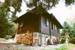 Chata Skřinářov : منزل به كومه من الخشب الناري