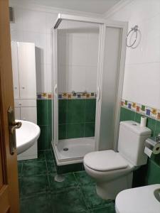 ein Bad mit einer Dusche, einem WC und einem Waschbecken in der Unterkunft apartamento céntrico en Lorca in Lorca