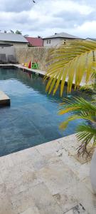 a swimming pool with a palm tree in the foreground at Villa Mary Guest House in Saint-André