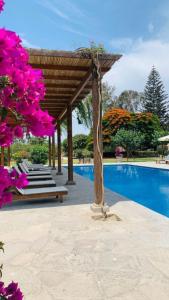 a wooden pergola next to a swimming pool with pink flowers at Casa Hacienda San Jose in Chincha Alta