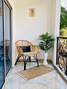 una sedia di vimini seduta su un portico con una pianta di Appartement meublé 2 Chambres, Salon - Bastos, Ambassade du Tchad, Yaoundé, CMR a Mbala