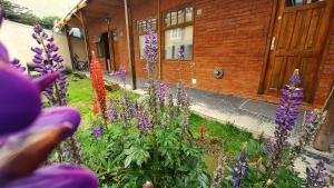 un jardín con flores púrpuras frente a un edificio en Terrazas del sur, en Ushuaia 3 fotos más