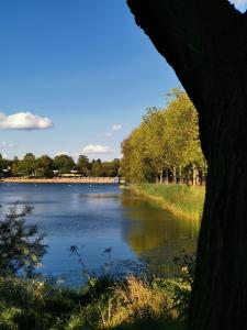 a view of a lake with trees in the background at Sweet Little Home Mimi in Berlin