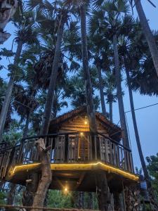 a tree house in the middle of palm trees at KATHIR Guest House in Jaffna