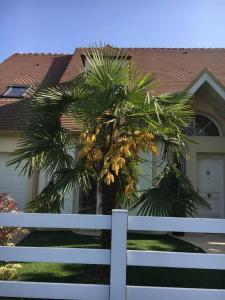 a white fence in front of a house with a palm tree at chambre avec entrée indépendante situation idéale in Serris