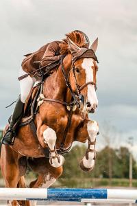 Eine Frau reitet auf einem Pferd und springt über ein Hindernis in der Unterkunft affittacamere la torre in Tegoleto