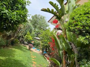 einen Garten mit Pflanzen und Blumen im Hof in der Unterkunft PJ GARDEN HOUSE in Athen