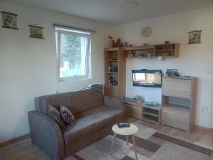 TV a/nebo společenská místnost v ubytování Vila Tutić Apartman 1 i Apartman 2