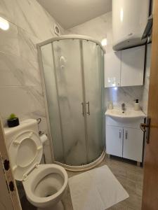 y baño con ducha, aseo y lavamanos. en Apartments Matea studio apartment, en Štikovica