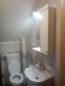 Vila Tutić Apartman 1 i Apartman 2 في ميترفاتس: حمام صغير مع مرحاض ومغسلة