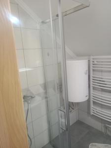 baño con ducha y puerta de cristal en Vila Tutić Apartman 1 i Apartman 2, en Mitrovac